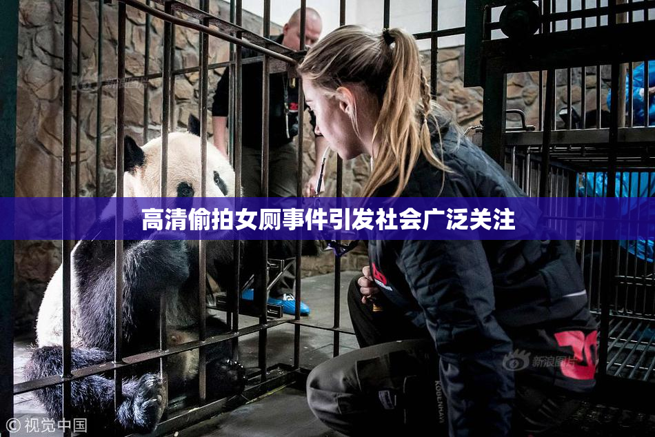 高清偷拍女厕事件引发社会广泛关注