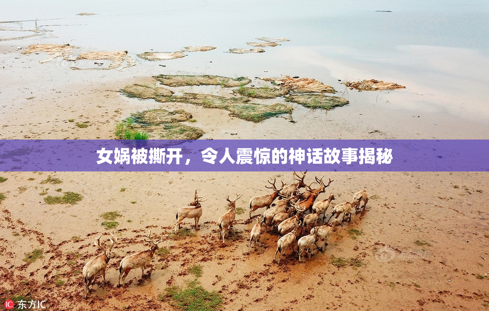 女娲被撕开，令人震惊的神话故事揭秘