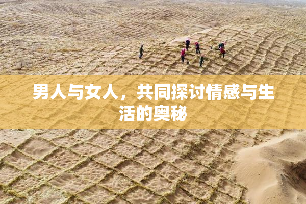 男人与女人，共同探讨情感与生活的奥秘