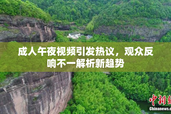 成人午夜视频引发热议，观众反响不一解析新趋势