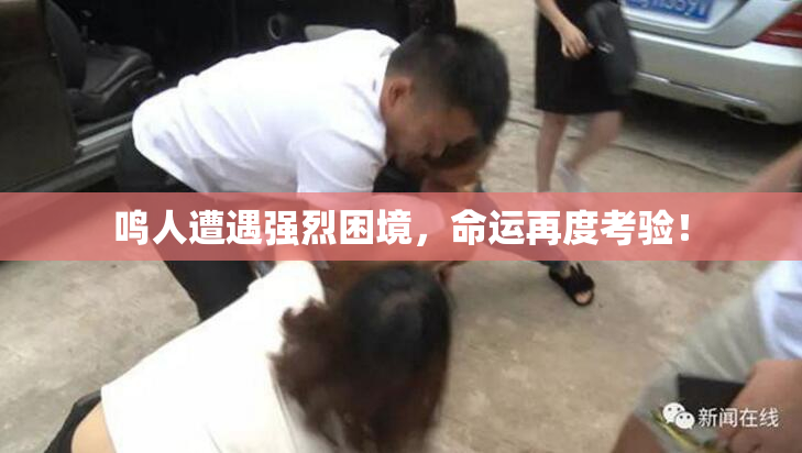 鸣人遭遇强烈困境，命运再度考验！