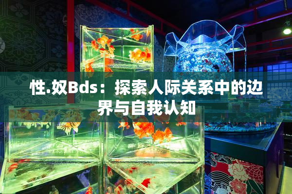 性.奴Bds：探索人际关系中的边界与自我认知