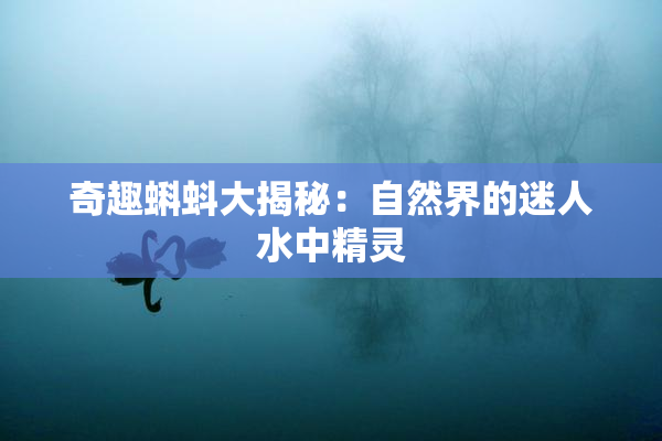 奇趣蝌蚪大揭秘：自然界的迷人水中精灵