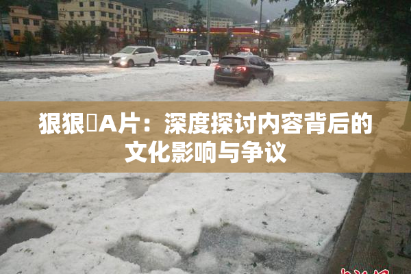 狠狠穞A片：深度探讨内容背后的文化影响与争议
