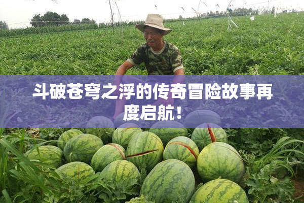斗破苍穹之浮的传奇冒险故事再度启航！