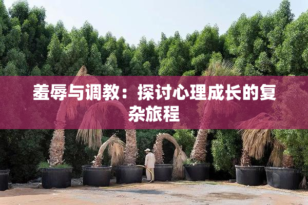 羞辱与调教：探讨心理成长的复杂旅程