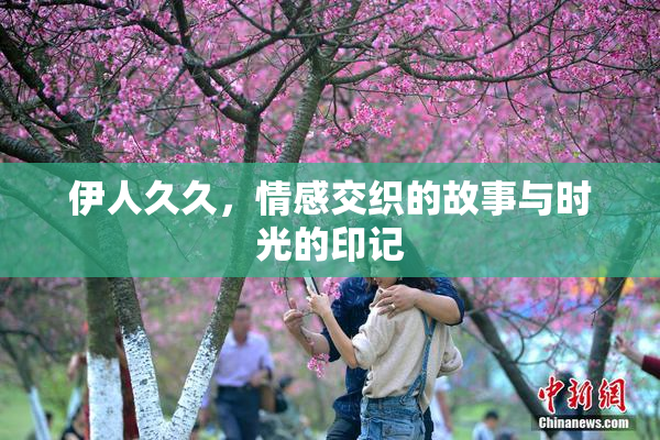 伊人久久，情感交织的故事与时光的印记