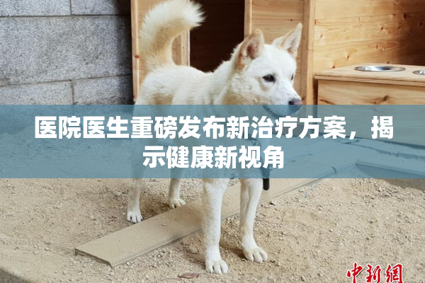 医院医生重磅发布新治疗方案，揭示健康新视角