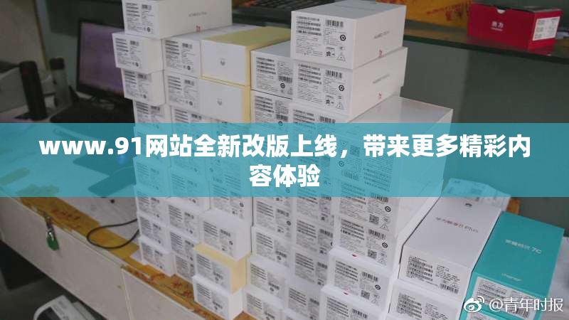 www.91网站全新改版上线，带来更多精彩内容体验