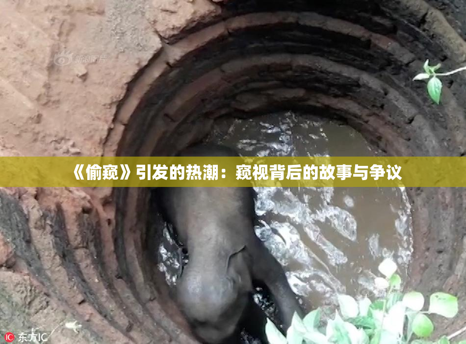 《偷窥》引发的热潮：窥视背后的故事与争议