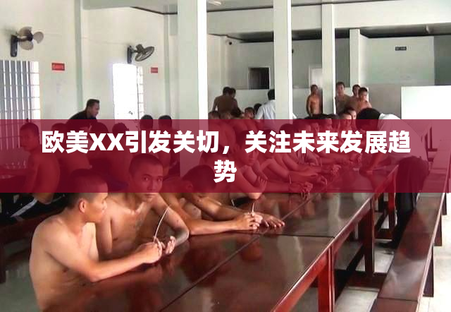 欧美XX引发关切，关注未来发展趋势