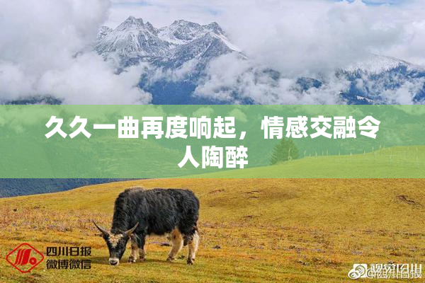 久久一曲再度响起，情感交融令人陶醉