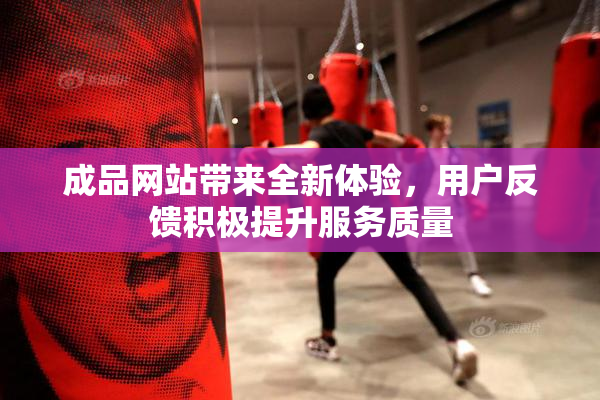 成品网站带来全新体验，用户反馈积极提升服务质量