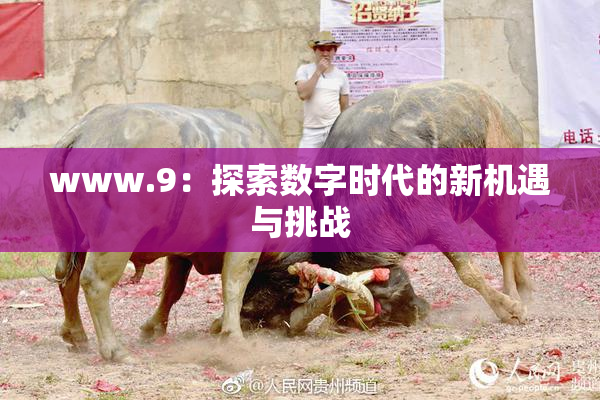 www.9：探索数字时代的新机遇与挑战