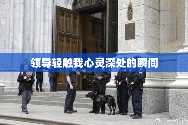 领导轻触我心灵深处的瞬间