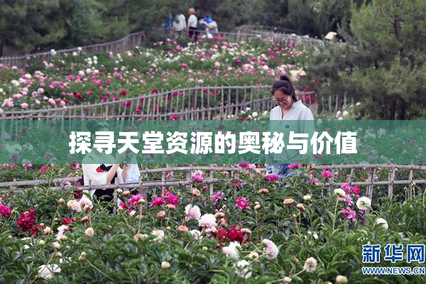 探寻天堂资源的奥秘与价值