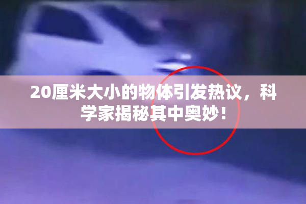 20厘米大小的物体引发热议，科学家揭秘其中奥妙！
