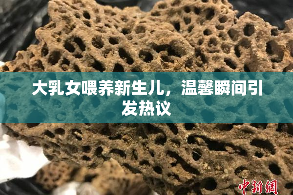 大乳女喂养新生儿，温馨瞬间引发热议