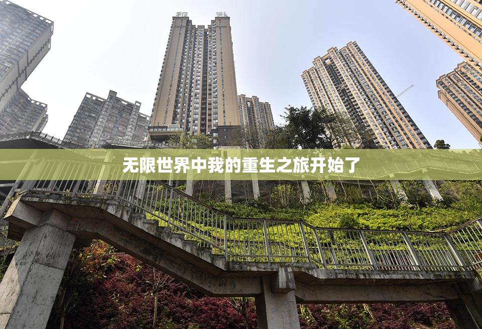 无限世界中我的重生之旅开始了