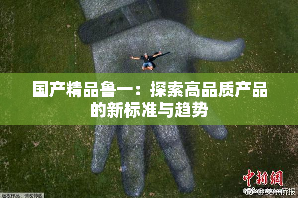 国产精品鲁一：探索高品质产品的新标准与趋势