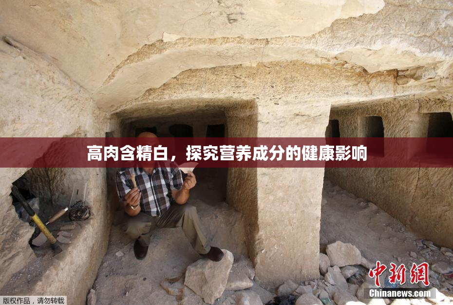 高肉含精白，探究营养成分的健康影响