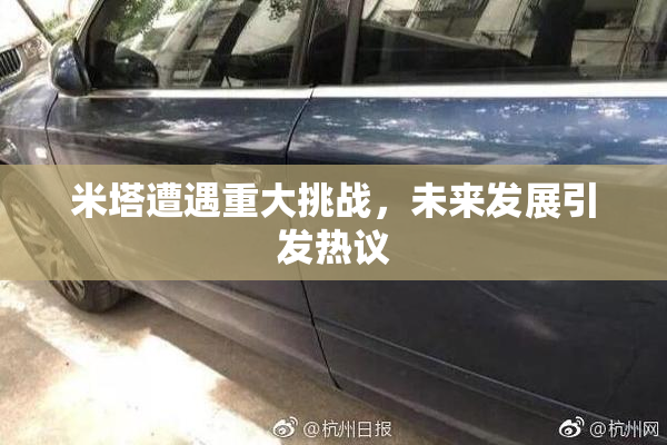米塔遭遇重大挑战，未来发展引发热议