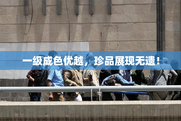 一级成色优越，珍品展现无遗！