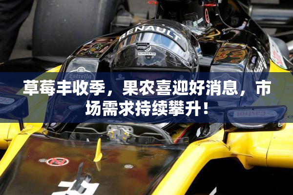 草莓丰收季，果农喜迎好消息，市场需求持续攀升！