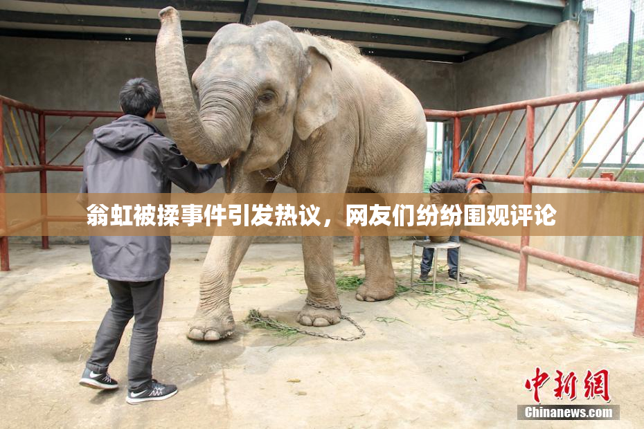 翁虹被揉事件引发热议，网友们纷纷围观评论