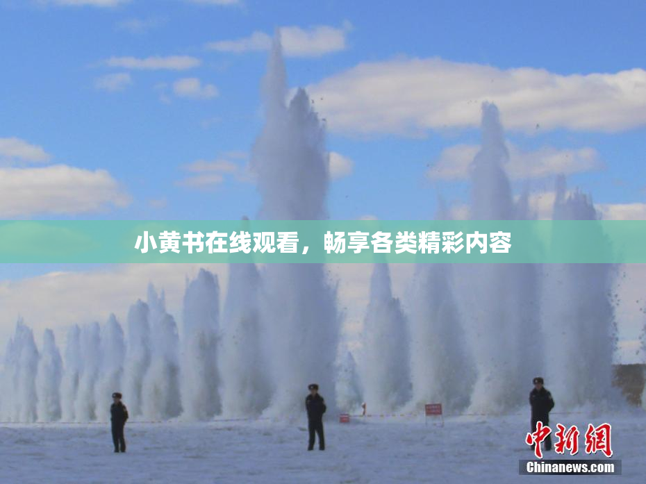 小黄书在线观看，畅享各类精彩内容
