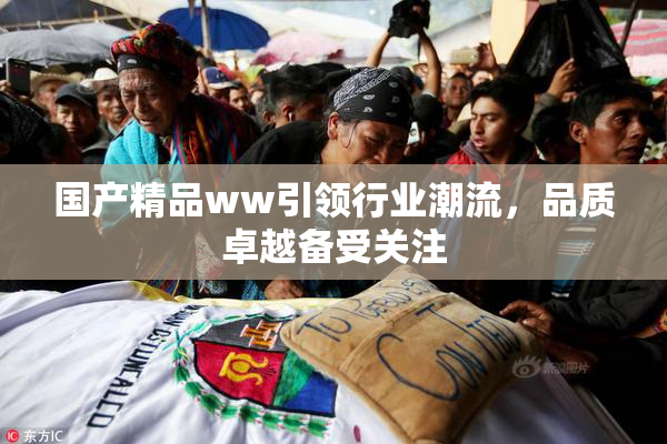 国产精品ww引领行业潮流，品质卓越备受关注