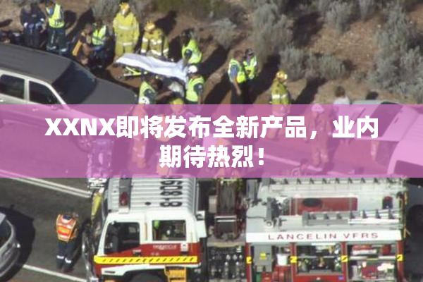 XXNX即将发布全新产品，业内期待热烈！