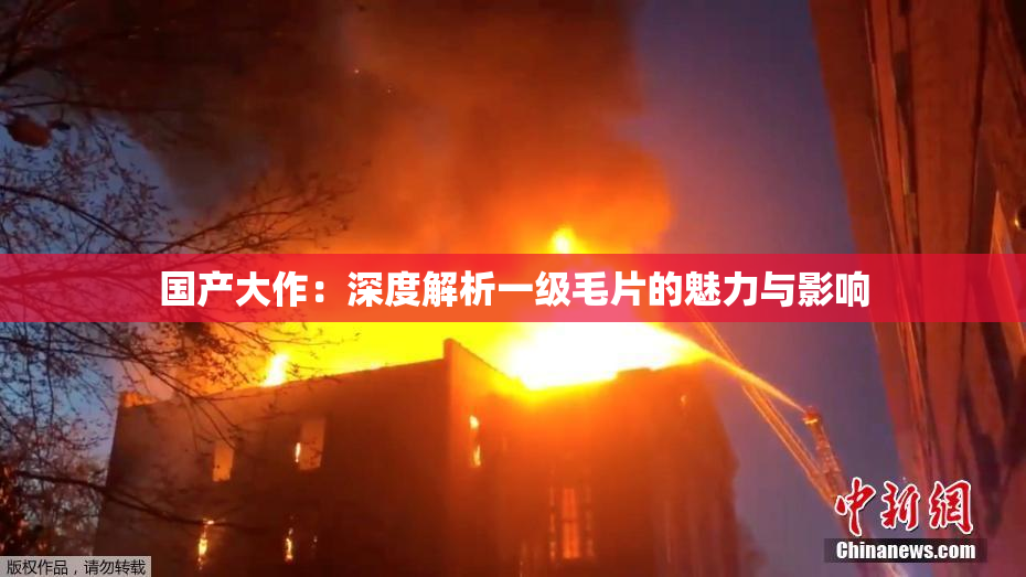 国产大作：深度解析一级毛片的魅力与影响