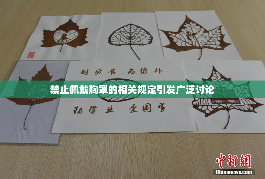 禁止佩戴胸罩的相关规定引发广泛讨论