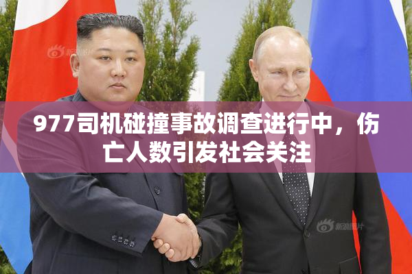 977司机碰撞事故调查进行中，伤亡人数引发社会关注