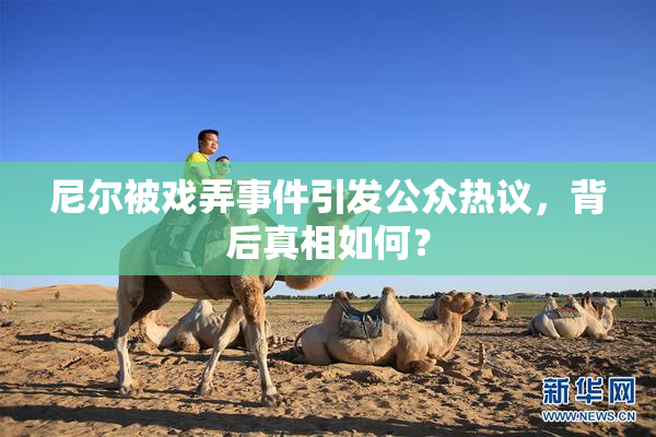 尼尔被戏弄事件引发公众热议，背后真相如何？