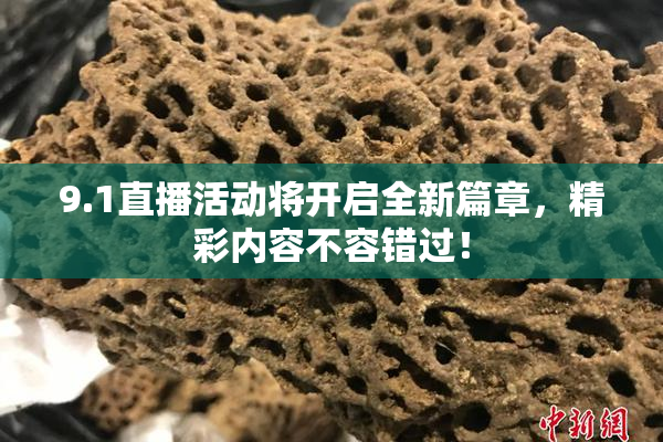 9.1直播活动将开启全新篇章，精彩内容不容错过！