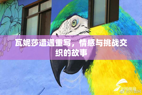 瓦妮莎遭遇重写，情感与挑战交织的故事