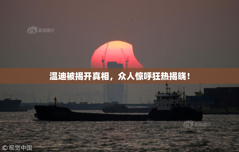温迪被揭开真相，众人惊呼狂热揭晓！