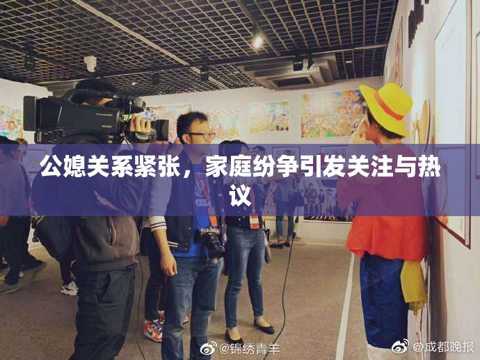 公媳关系紧张，家庭纷争引发关注与热议