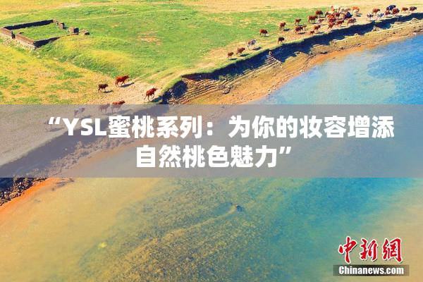 “YSL蜜桃系列：为你的妆容增添自然桃色魅力”