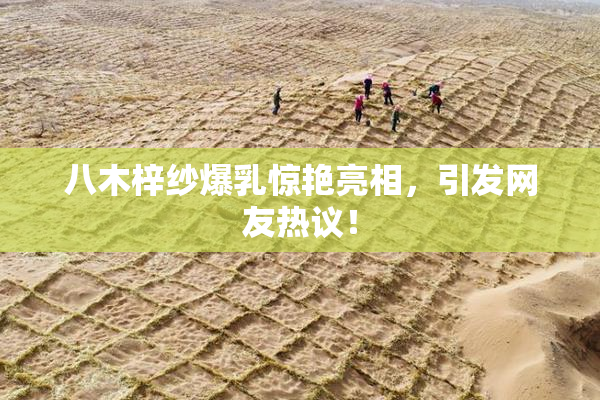 八木梓纱爆乳惊艳亮相，引发网友热议！