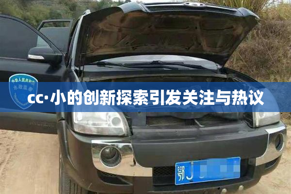cc·小的创新探索引发关注与热议