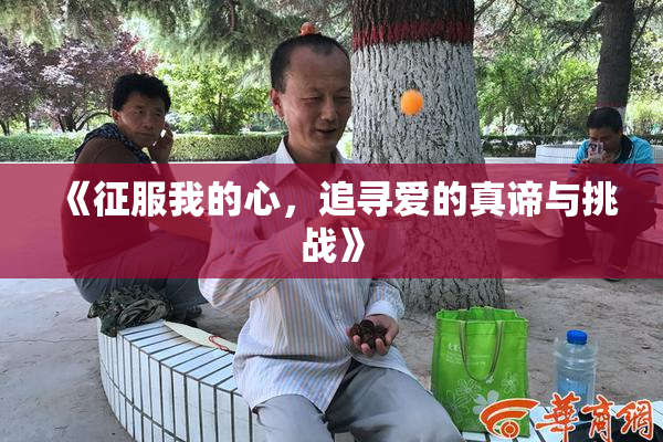 《征服我的心，追寻爱的真谛与挑战》