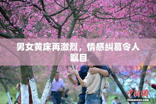 男女黄床再激烈，情感纠葛令人瞩目