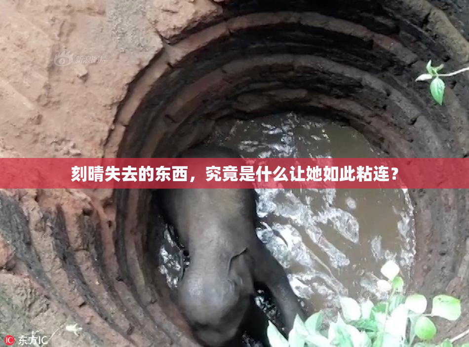 刻晴失去的东西，究竟是什么让她如此粘连？