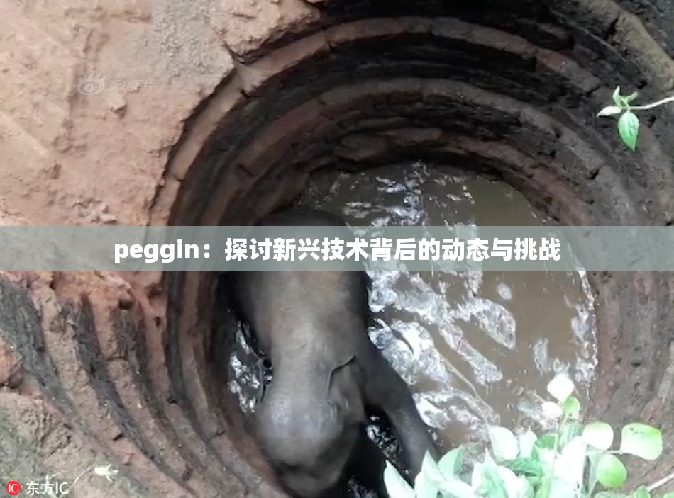peggin：探讨新兴技术背后的动态与挑战