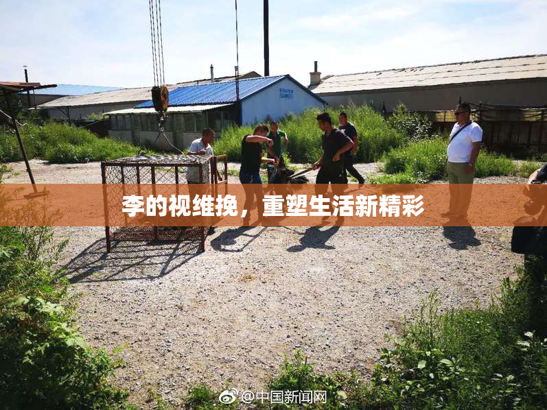 李的视维挽，重塑生活新精彩
