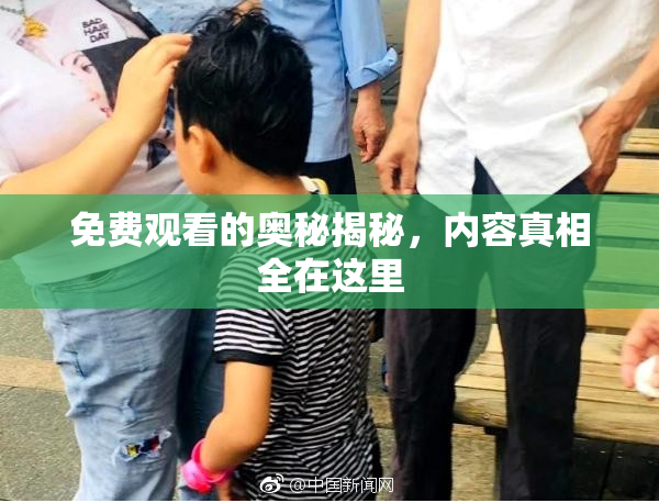 免费观看的奥秘揭秘，内容真相全在这里