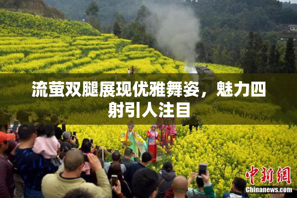 流萤双腿展现优雅舞姿，魅力四射引人注目